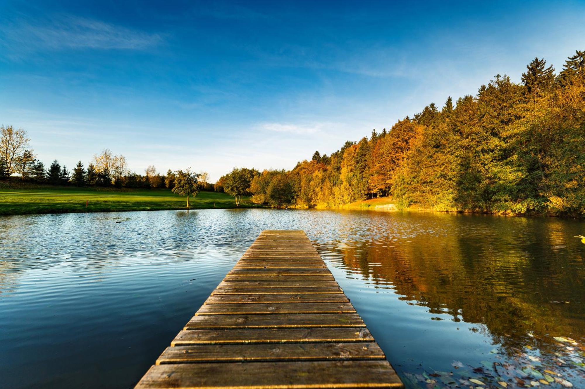 Golf&wellness Hotel Alfredov