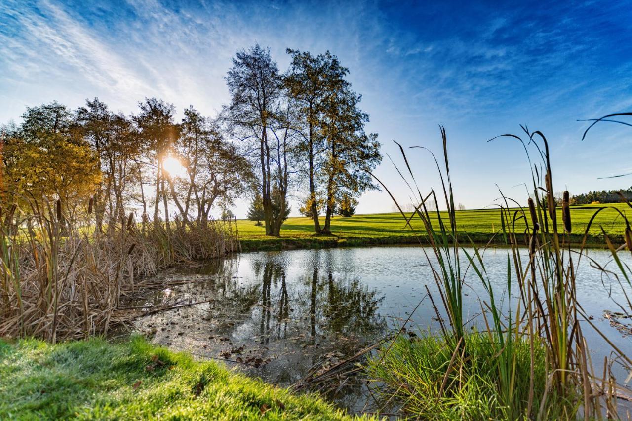 Golf&wellness Alfredov